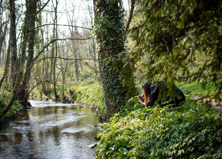 Atelier photo « Photographier le paysage »