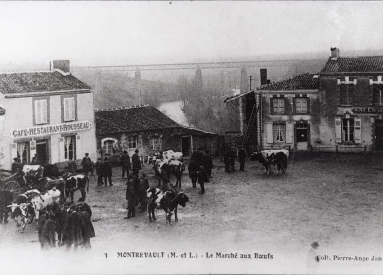 Carriole ou petit train ?