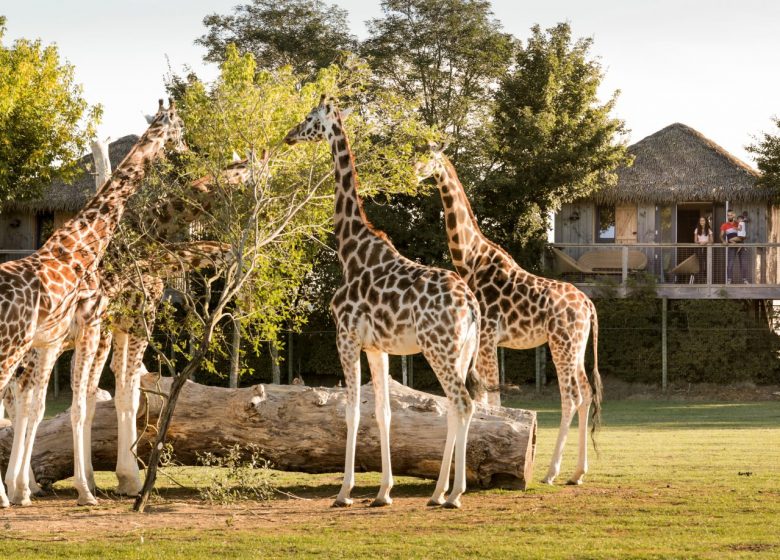 ZOO DE LA BOISSIERE DU DORE