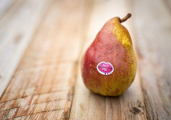 Le Verger de la Blottière