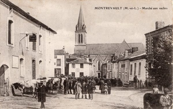 Deux vues différentes de la place du marché 