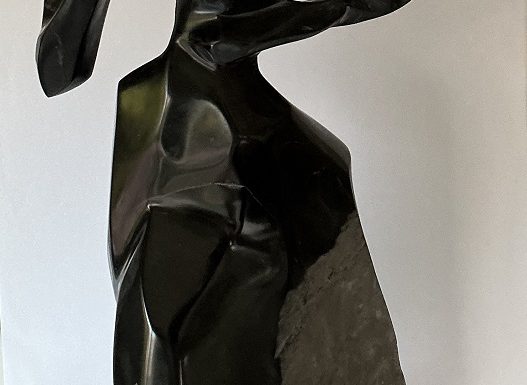 Exposition Champtoceaux : Paul BILLARD – Alain BOUCHEREAU