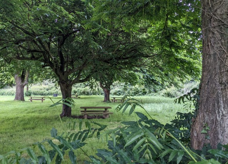Aire de pique-nique Haute Brin au Fief-Sauvin