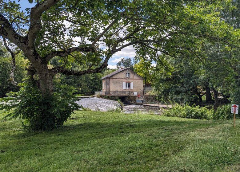 Aire de pique-nique Raz-Gué à Montrevault