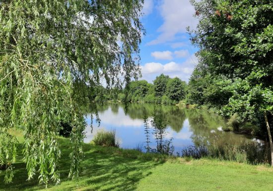 Aire de pique-nique Etang de Saint-Quentin-en-Mauges