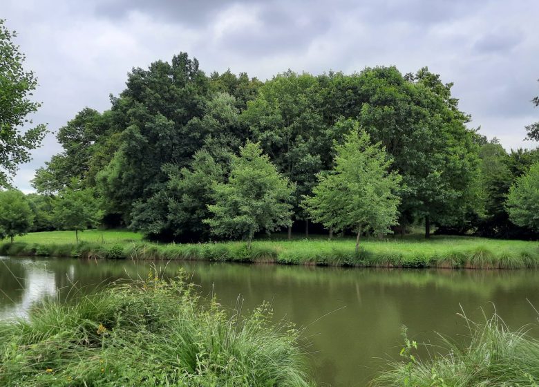Aire de pique-nique Etang de La Salle-Aubry