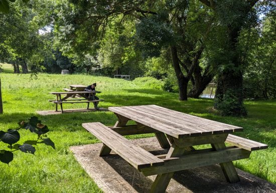 Aire de pique-nique Le Corneau à La Boissière-sur-Evre