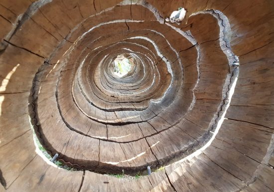 Journées Européennes du Patrimoine : Exposition « Contenir l&rsquo;ouragan » à l&rsquo;Abbaye de Saint-Florent-Vieil