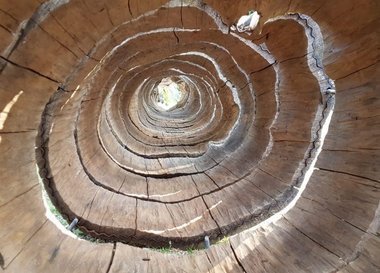 Journées Européennes du Patrimoine : Exposition « Contenir l&rsquo;ouragan » à l&rsquo;Abbaye de Saint-Florent-Vieil