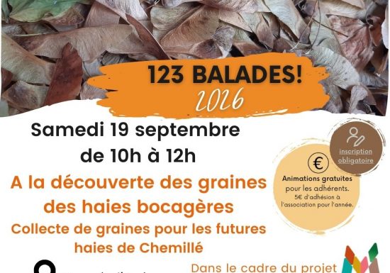 Animation 123 balades – Collecte de graines de haies bocagères avec Horizon Bocage