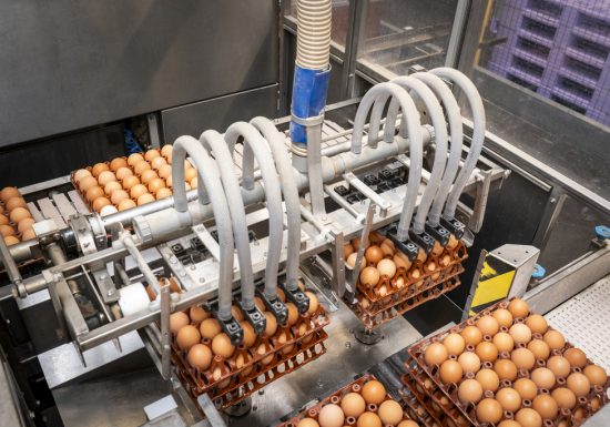 C&rsquo;est quoi ton entreprise 2026 ? L&rsquo;Oeuf des 2 Moulins