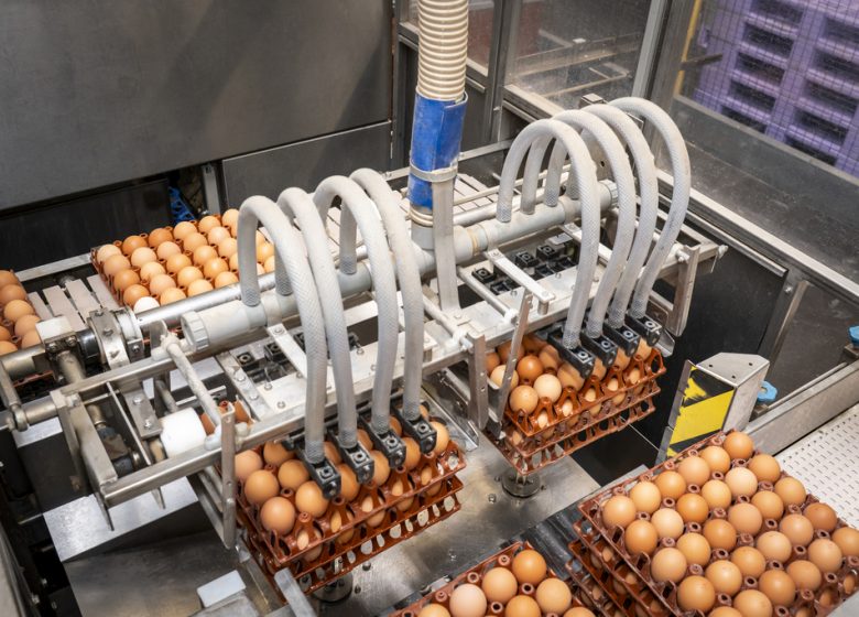C&rsquo;est quoi ton entreprise ? L&rsquo;Oeuf des 2 Moulins