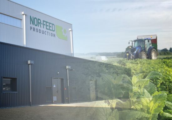 C&rsquo;est quoi ton entreprise 2026 ? Nor Feed
