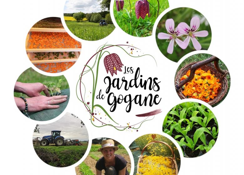 C&rsquo;est quoi ton entreprise ? Les jardins de Gogane