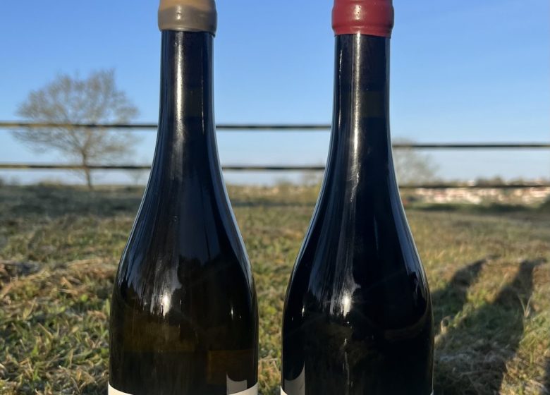 Domaine de l&rsquo;Alliance