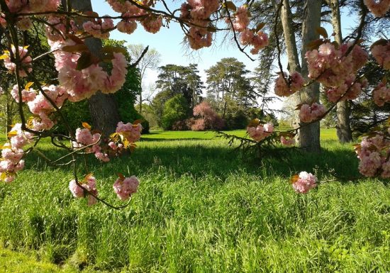 NEURODON au parc du Martreil