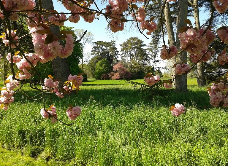 NEURODON au parc du Martreil