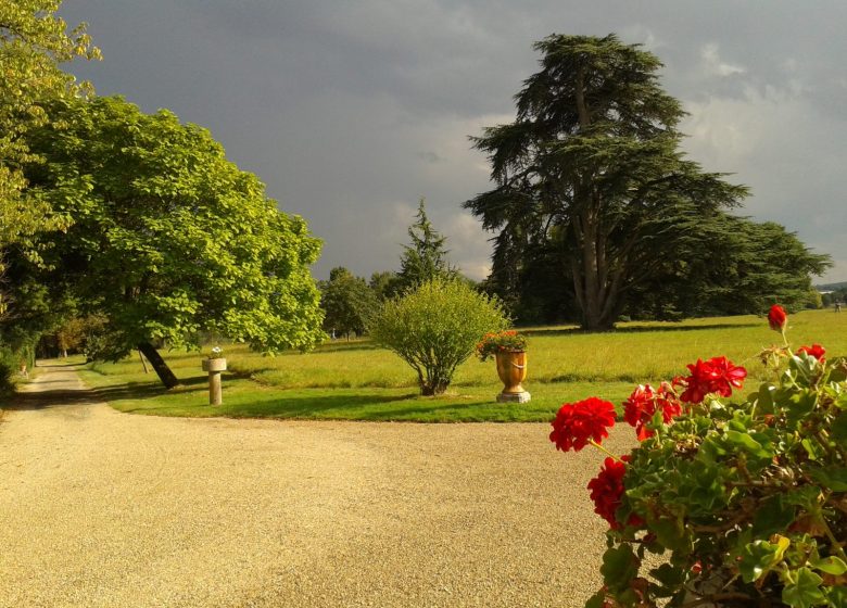 La Solduk Compagnie en représentation au Parc du Martreil