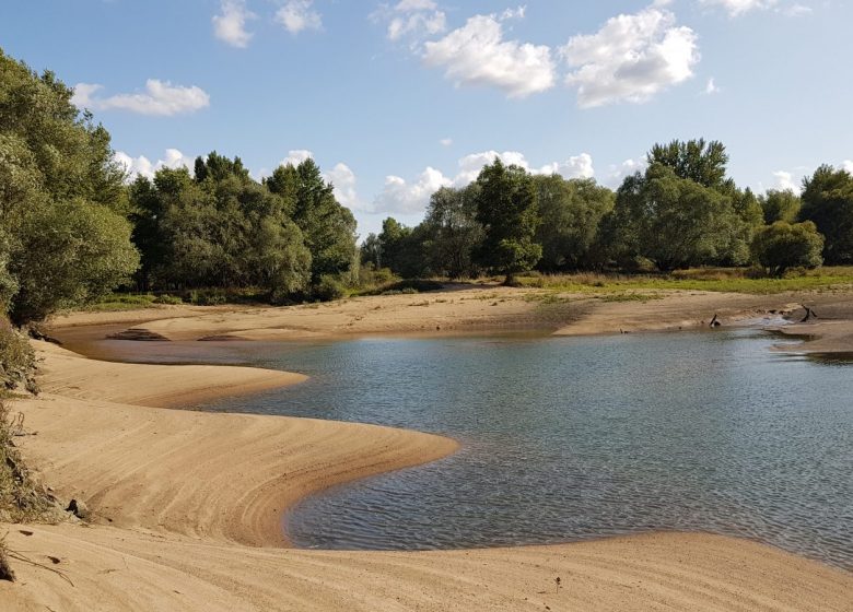 DÉTOURS EN LOIRE