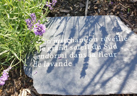 Rendez-vous aux Jardins à Camifolia