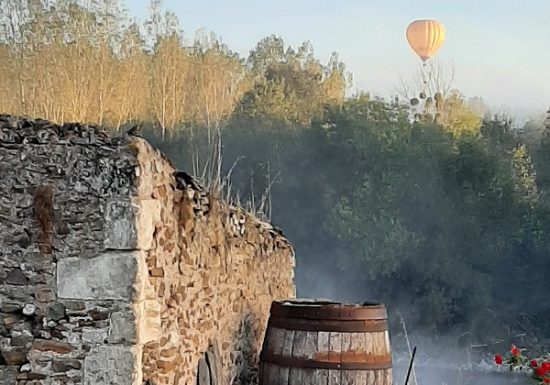 Clos de vigne de La Pierre à Fourneau