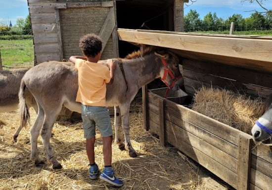 Visite à la ferme au Camping La Guyonnière