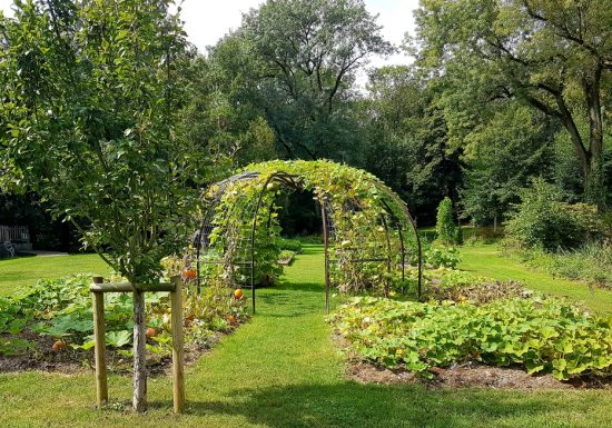 Immersion végétale au fil des saisons