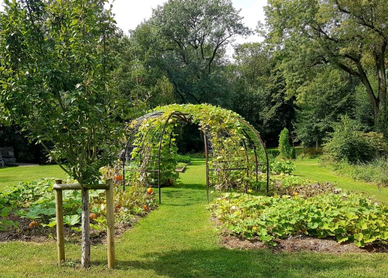 Immersion végétale au fil des saisons