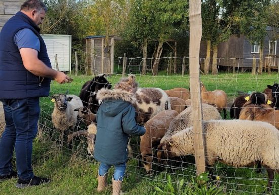 Visite à la ferme au Camping La Guyonnière