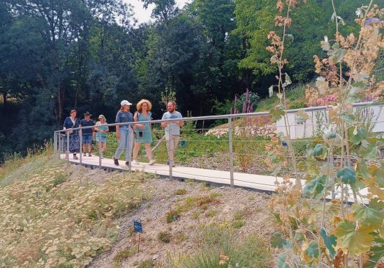 Les visites guidées et les visites ateliers du Jardin Camifolia