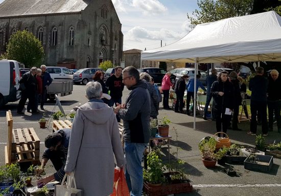 Troc Plantes de Printemps
