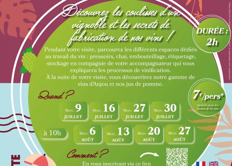 Domaine Delaunay : Visite et dégustation dans un Domaine Viticole