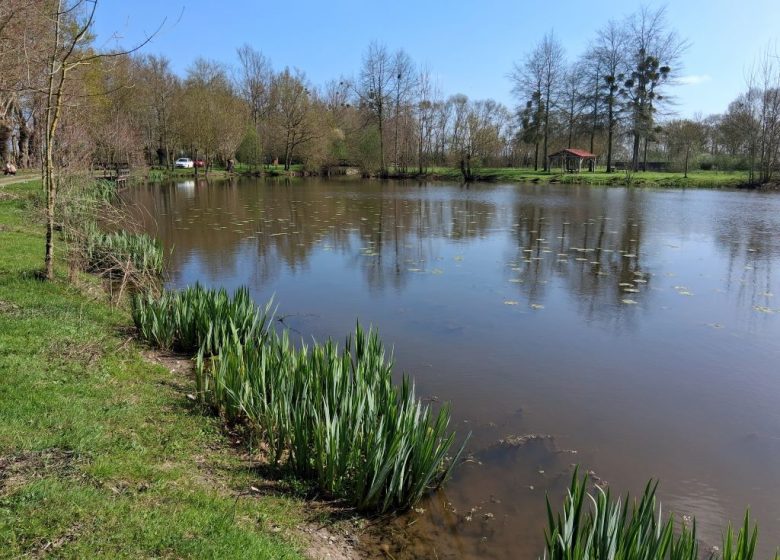 Pêche à la Boire de la Grand’ Fosse
