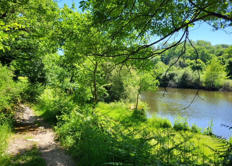 Randonnée « Les bords de Sèvre »