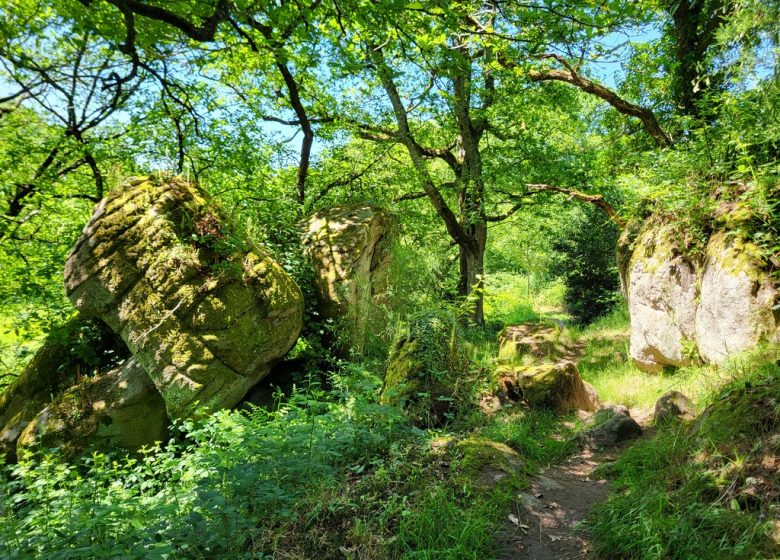 Randonnée « Les bords de Sèvre »