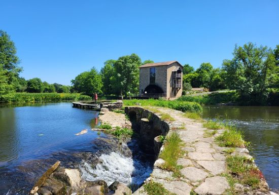 Randonnée « Les bords de Sèvre »