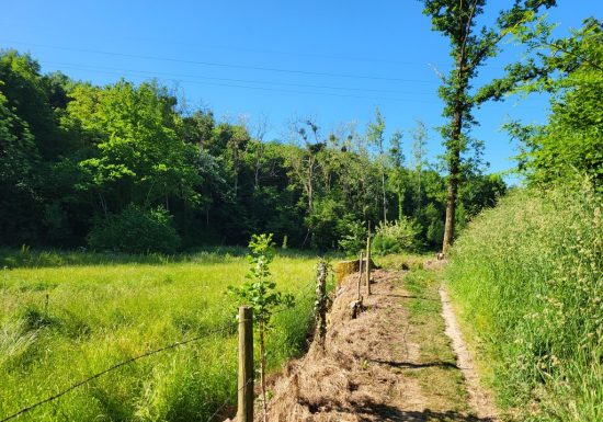 Randonnée « Vallée de l’Aiguefou »