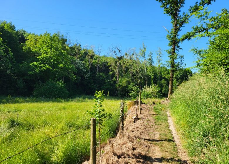Randonnée « Vallée de l’Aiguefou »
