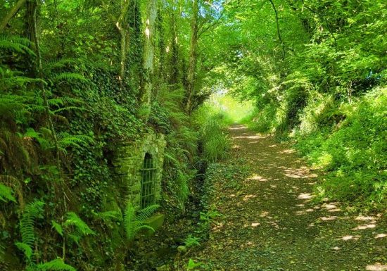 Randonnée « Vallée de l’Aiguefou »