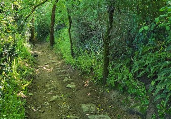 Randonnée « Bornéo »