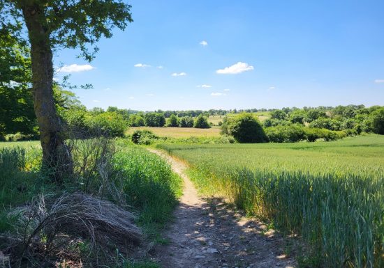 Randonnée « Bornéo »