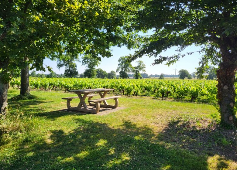 Randonnée « La cour »