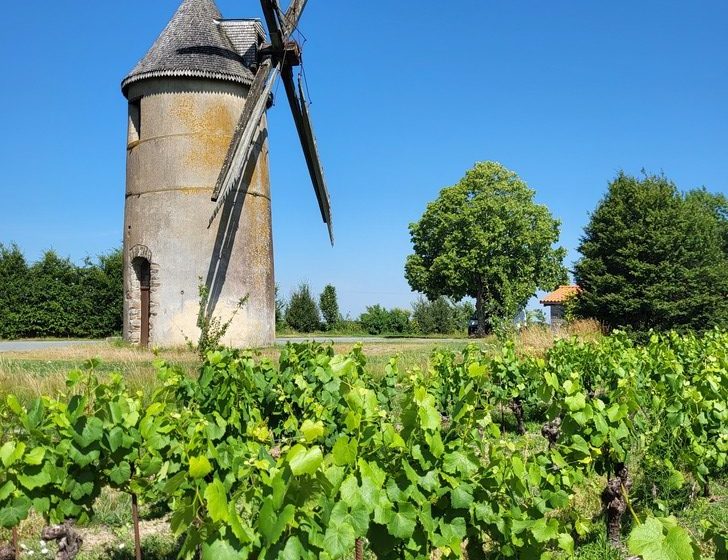 Randonnée « La cour »