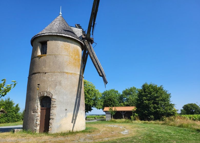 Randonnée « La cour »