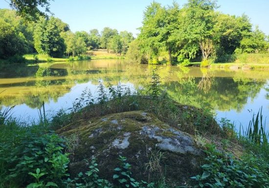 Randonnée « Les Roches »