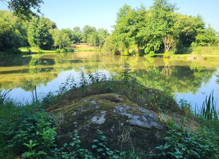 Randonnée « Les Roches »