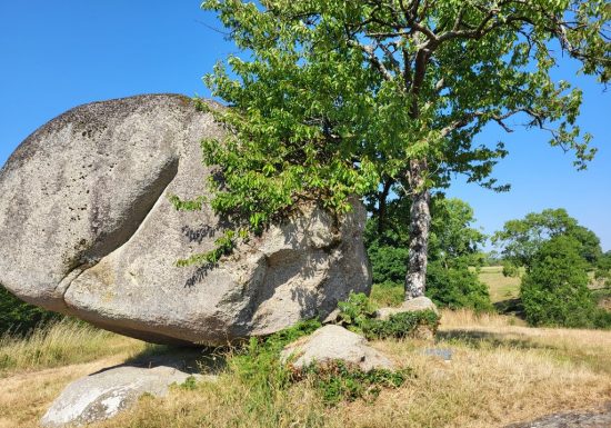Randonnée « Les Roches »