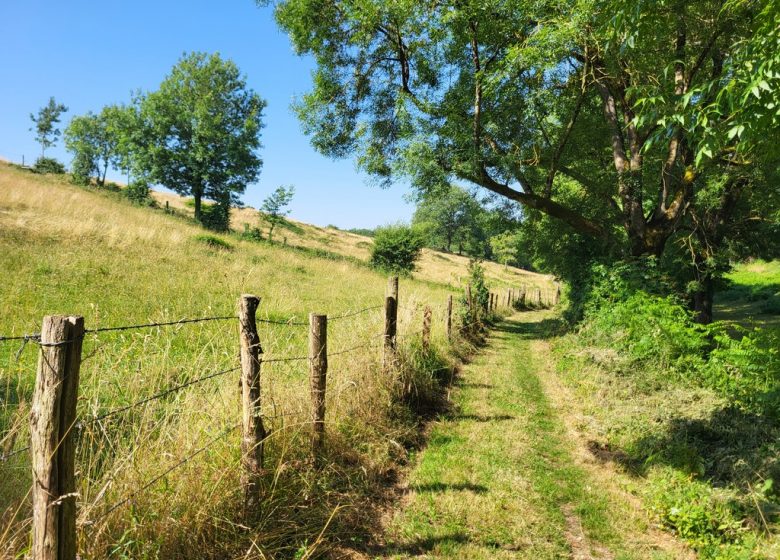 Randonnée « Les Roches »