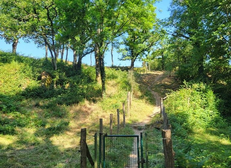 Randonnée « Les Roches »