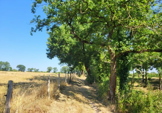 Randonnée « La Bataille »